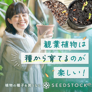 Hart DIVAの中古が安い！激安で譲ります・無料であげます｜ジモティー