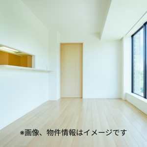 レトロ2層式洗濯機TOSHIBA (MOKU) 木ノ下の家具の中古あげます・譲り