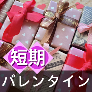 YFZ450Rインジェクション2011年9月限定四輪バギーYF350バンシーYF200