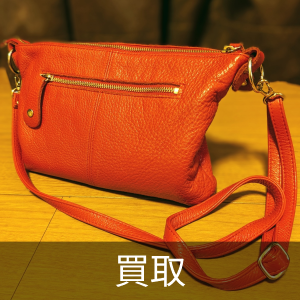 ソテツ｜買いたい/くださいの助け合い｜ジモティー