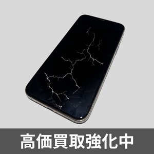 thriantaの中古が安い！激安で譲ります・無料であげます｜ジモティー
