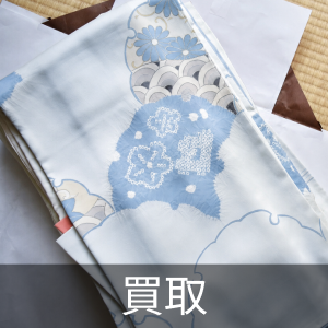 ADAキューブガーデンW600×D300×H360 (水槽) 衣摺加美北のその他の中古