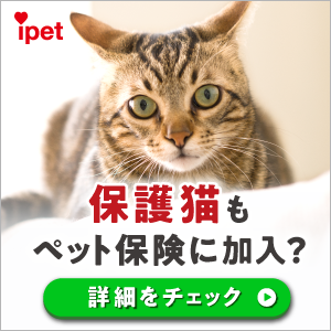 犬の里親募集｜ジモティー