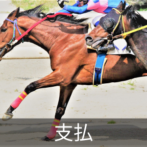 カインズ 折りたたみ自転車(自転車)の中古が安い！激安で譲ります・無料であげます｜ジモティー