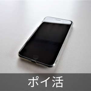楽天市場】第一ビニール 小型ビニールハウス ダイムハウス 2坪用