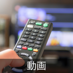 送料無料】模型の箱にへこみや傷や汚れあり、開封済、未使用A380