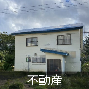 Amazon.co.jp: WFYWH 検針器 金属探知機 金属探知機 下地探し針