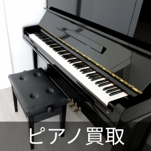 インジェニュイティの中古が安い！激安で譲ります・無料で