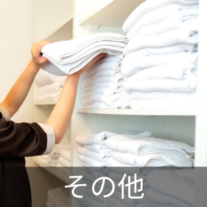 パンザマスト　中古　6本 SAZANKA(サザンカ) 140F LZ チャートボラ ルアー | Megabass