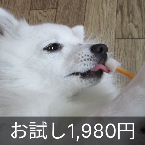 値下げ交渉可⭐︎英語絵本（CD付きあり） ⭐︎11冊まとめ⭐︎ 4️⃣0️⃣% ○FF WITH C○DE: UM2WY8WN 💥💥 𝗚𝗲𝘁 𝗼𝗻